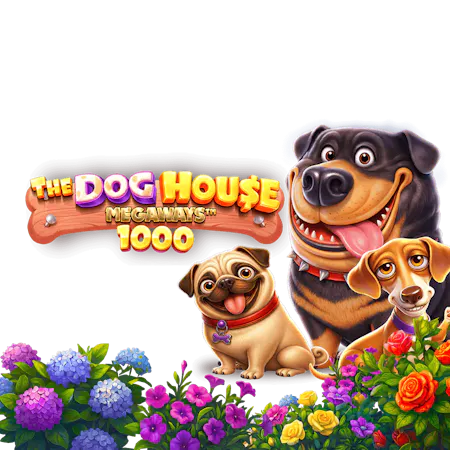The Dog House Megaways 1000 - Betfair Arcade