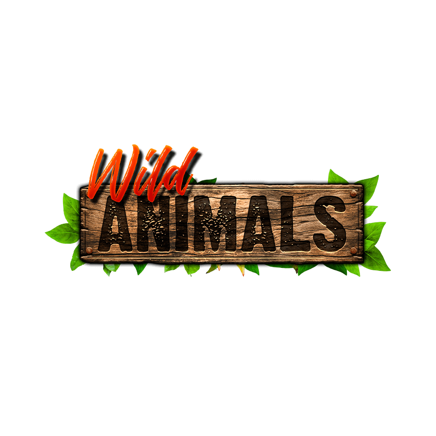 Wild Animals - Betfair Casino