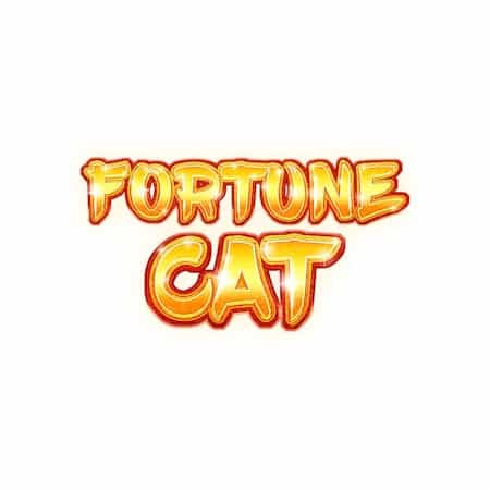 Gato da Fortuna