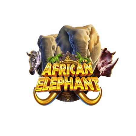 African Elephant 