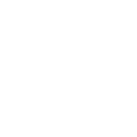 Balloon