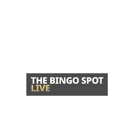 The Bingo Spot