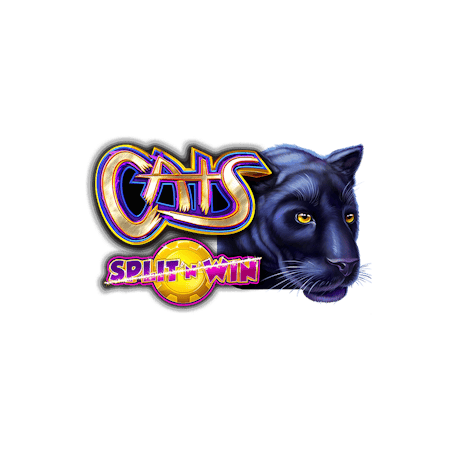 Cats Split ‘N’ Win