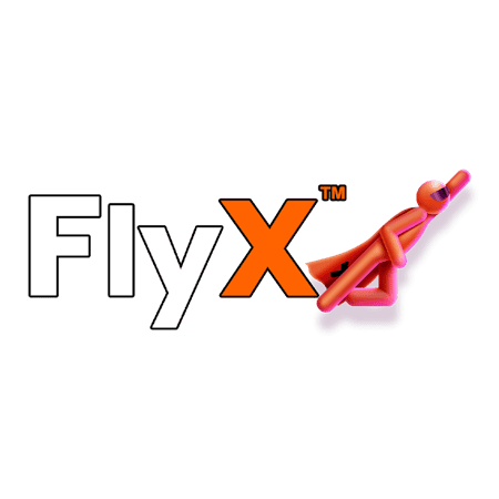 FlyX