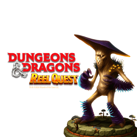 Dungeons & Dragons® Reel Quest™