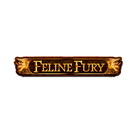 Feline Fury