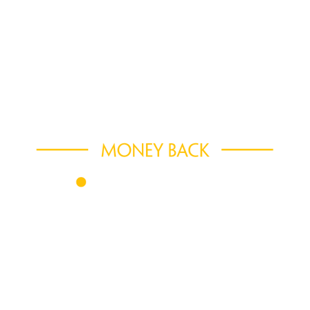 Roulette Money Back