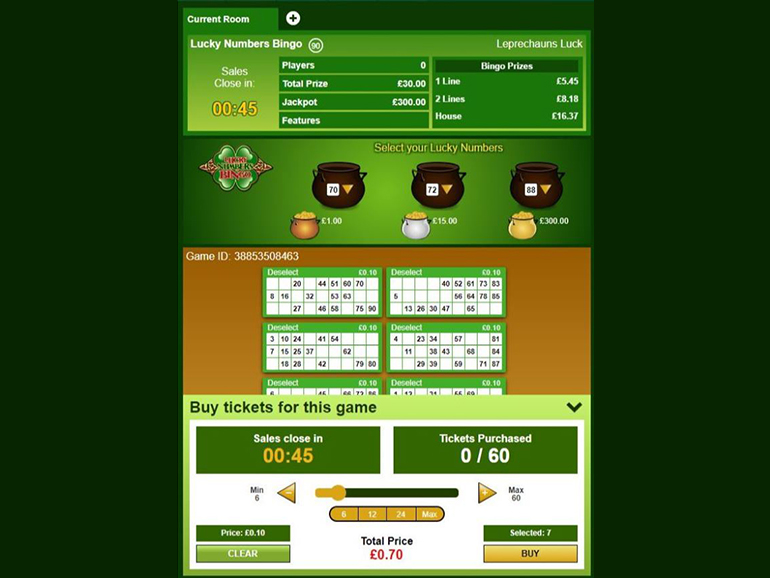 Lucky Numbers Bingo Game Play at Paddy Power™ Bingo