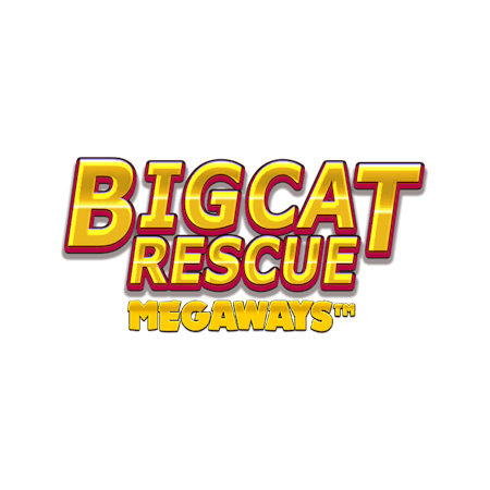 Big Cat Rescue Megaways on Paddy Power Bingo