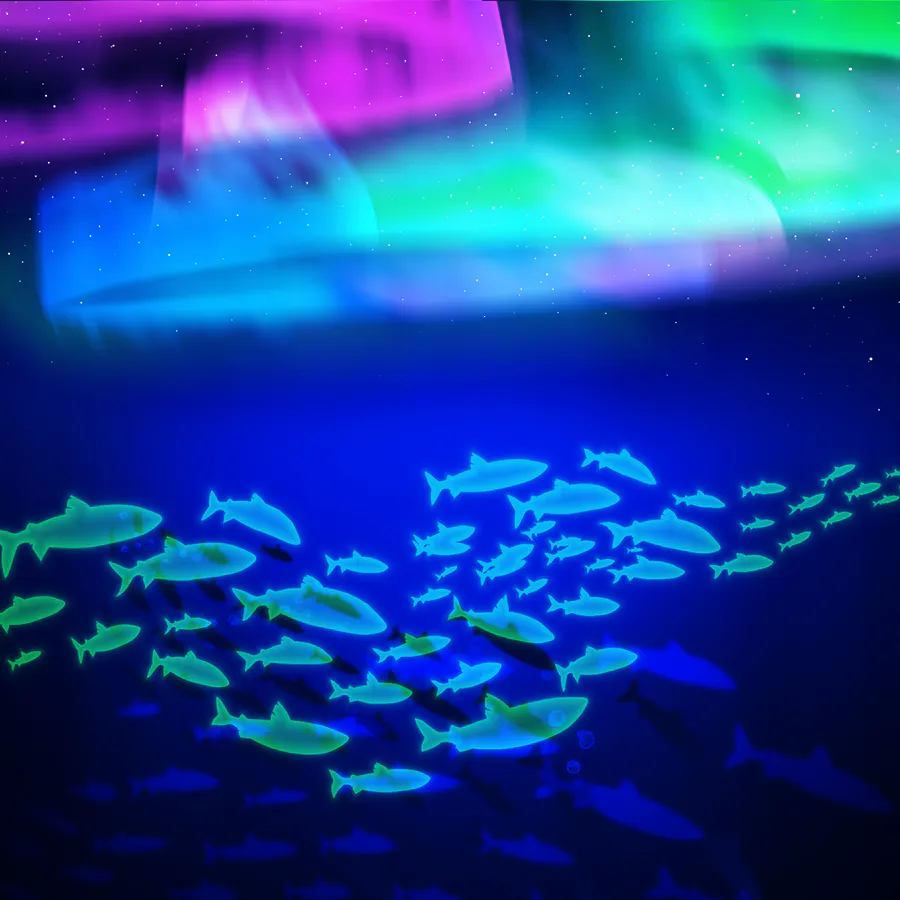 Arctic Fishing on Paddy Power Games