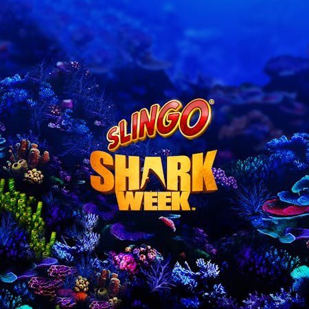 Slingo Shark Blitz - Play Slingo Games at Slingo Arcade