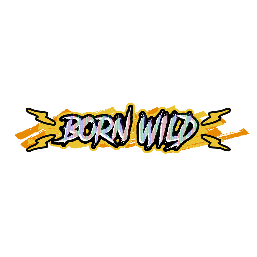 Born Wild on Paddy Power Bingo