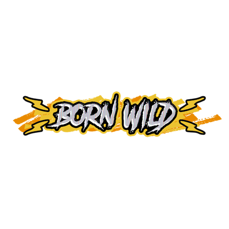 Born Wild on Paddy Power Bingo