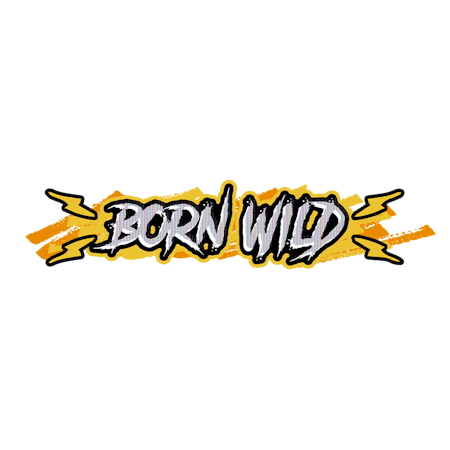 Born Wild on Paddy Power Bingo