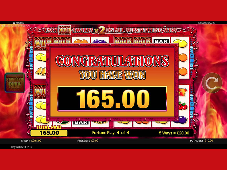 Wild Fortune Slots Gameplay Screenshot