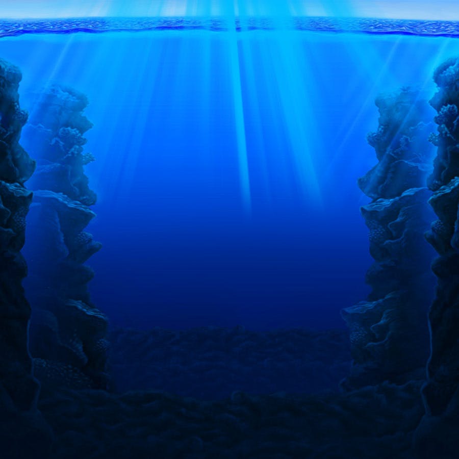 Fishin' Frenzy: Even Bigger Catch on Skybet Vegas